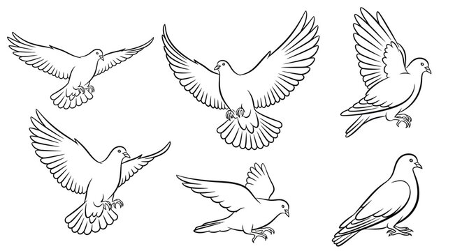 Set of flying doves in line art style for peace and freedom concepts