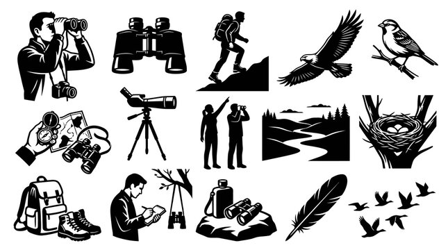 Birdwatching Icons: Binoculars, Birds, Nature, Hiking - Black  White Line Art