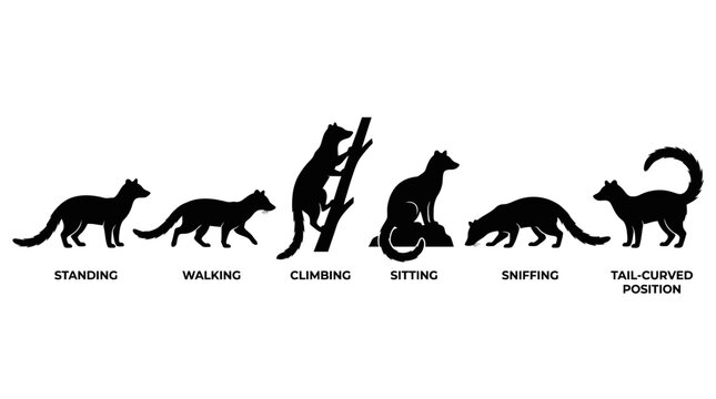 civet silhouettes in side profile, solid black shapes, each in different poses such as standing, walking.