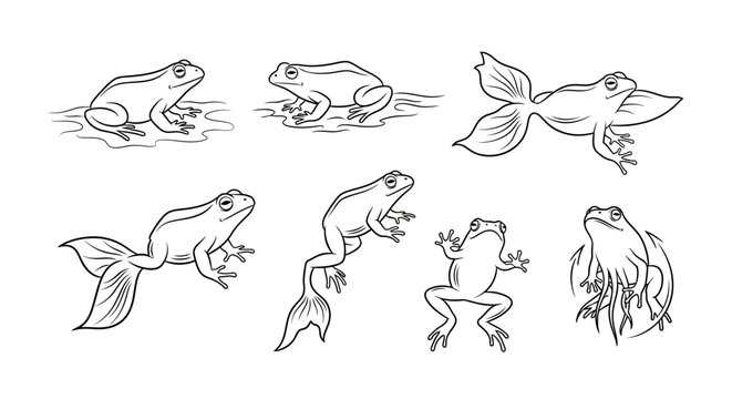 Surreal Frog-Fish Hybrid Creatures, Whimsical Line Art Illustration