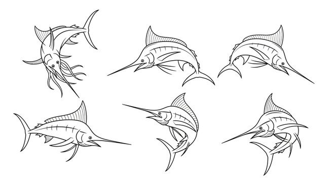 Set of Marlin Fish Illustrations in Action Poses, Oceanic Wildlife