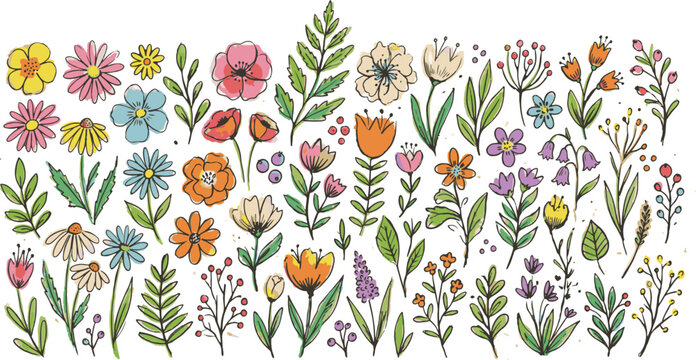 Hand drawn wildflower collection, colorful watercolor floral vector elements, rustic garden botanical set for wedding invitations and spring decor