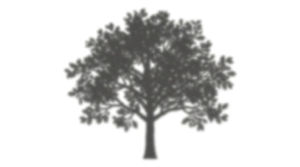 Fototapeta premium A grayscale illustration of a tree with a thick trunk and sprawling branches