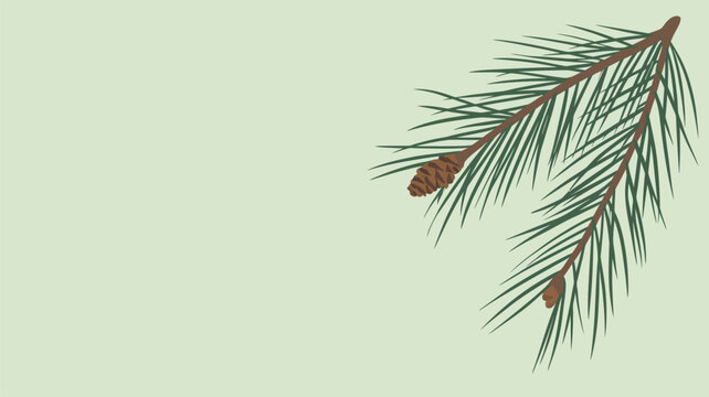 pine needle vector background