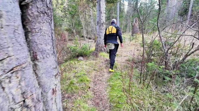 Camper walking narrow trail camping, hiker navigating mossy forest path with yellow backpack, tall pines and soft undergrowth, steady exploration through remote woodland.