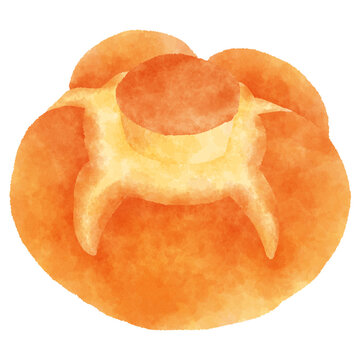 イタリアのパン　michetta（ミケッタ）　rosetta（ロゼッタ）