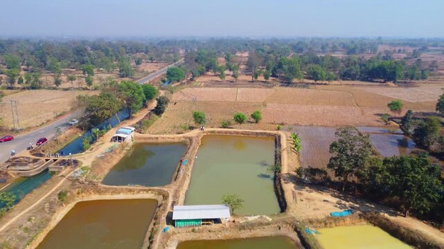 Aerial drone view of commercial fish seed hatchery fish farm industry 4k HD fooatge