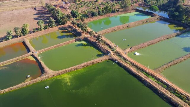 Aerial drone view of commercial fish seed hatchery fish farm industry 4k HD fooatge
