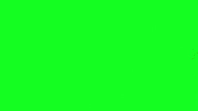 Dense smoke cloud animation on green screen chroma key background with realistic orange red flames burning intensely expanding horizontally for VFX video editing motion graphics professional 4k