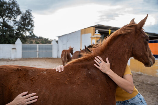 Woman hugging chestnut horse in outdoor stable yard
