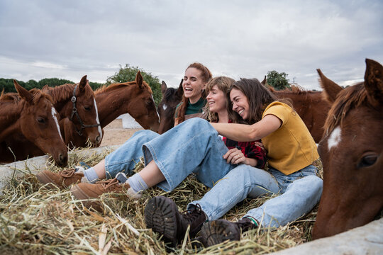 Happy friends relax on hay with horses at the ranch