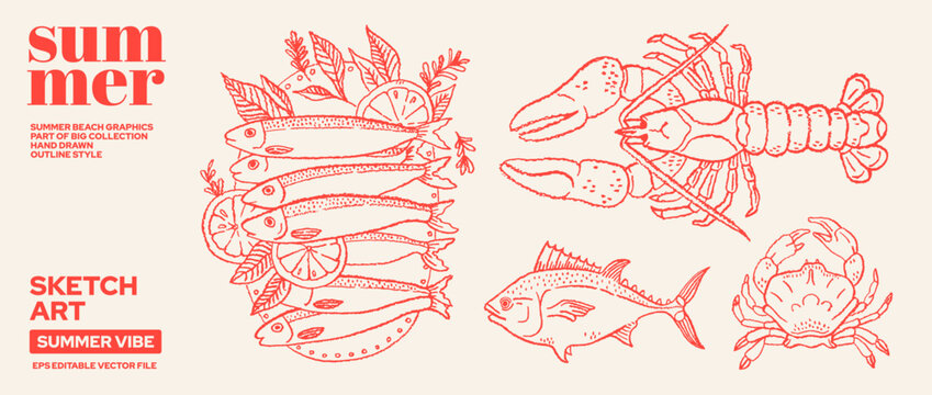 Lobster, crab, sardines fish sea food. Seafood vector illustration. Vintage Italian food with Lobster, tuna fish, crab, sardine with lemon. Summer seafood print from Italy. Doodle Mediterranean poster