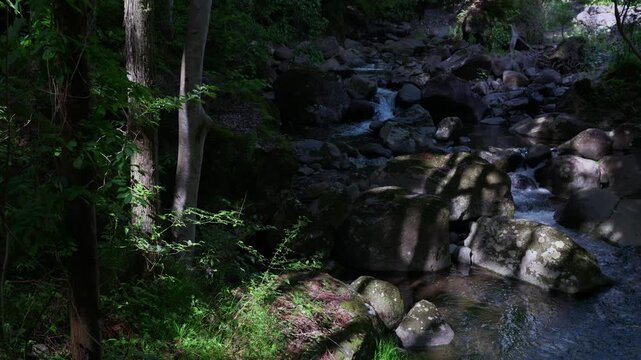 A clear-flowing stream and sunlight filtering through the trees