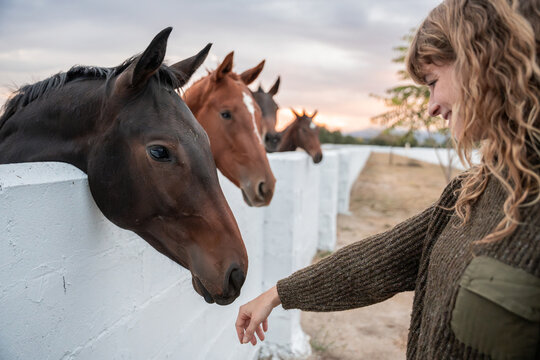 Woman feeding horse over white fence at sunset ranch