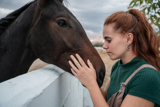 Young woman gently touching horse by farm fence outdoors