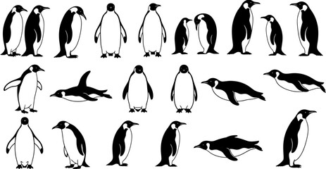 Set of black and white vector silhouettes featuring cute emperor penguins standing and swimming in various poses for wildlife design. © Delowara