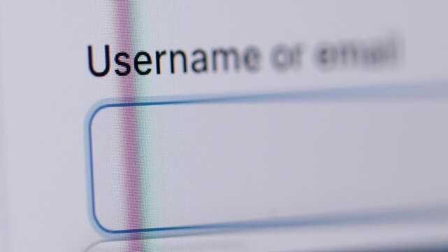 Close-up 4K view of a vertical blinking cursor in an empty "Username or email" input field on a website login screen.