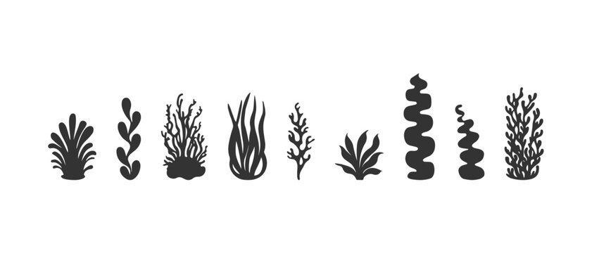 Minimalist collection of diverse hand-drawn seaweed and coral silhouettes in solid black for eco-conscious branding, aquatic infographics, and nautical patterns.