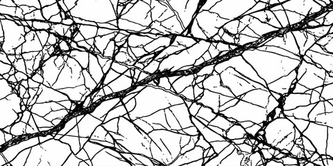Obraz premium Abstract Black Branch Line Texture Background with Intricate Organic Crack Network Pattern.