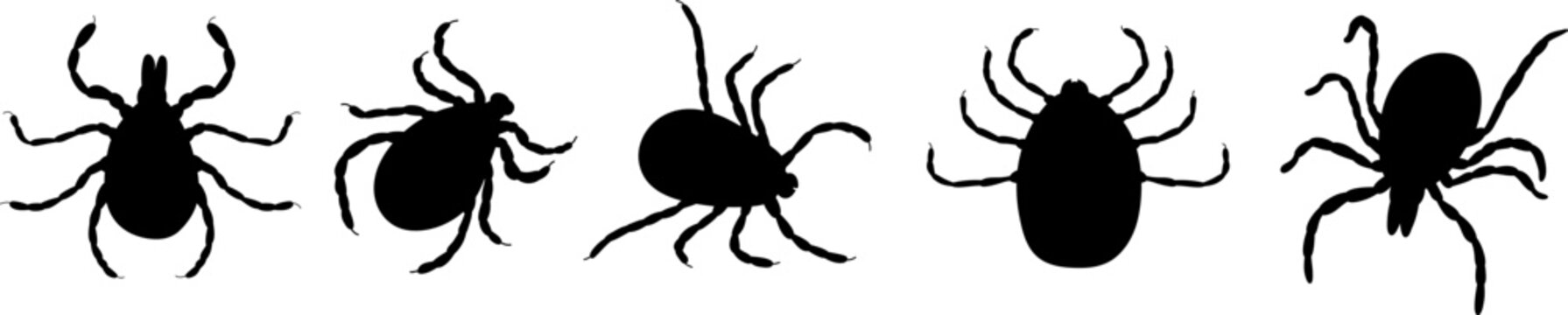 Set of ticks silhouettes, vector