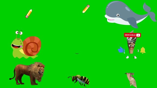 Random mix green screen chroma key background animation featuring snail, butterfly, whale, lion, bee, icecream, fish, mosquito, and pelican. High quality isolated footage. Buy