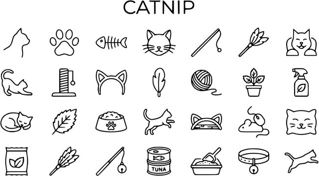 Catnip Icons Set: Line Art Illustrations of Pet Items, Toys, and Feline Accessories