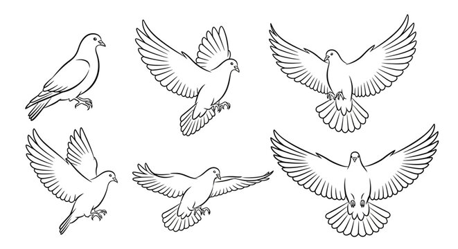 Set of hand-drawn flying doves, line art bird collection