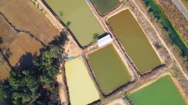 Aerial drone view of commercial fish seed hatchery fish farm industry 4k HD fooatge