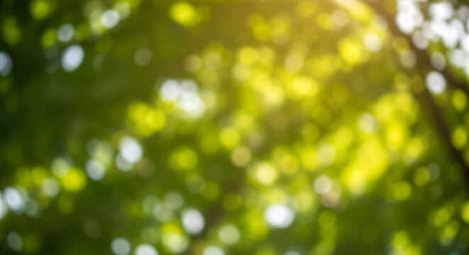 Blurred green nature bokeh background trees leaves sunlight outdoor summer ecology environment fresh forest abstract bright spring texture foliage park light soft wallpaper garden