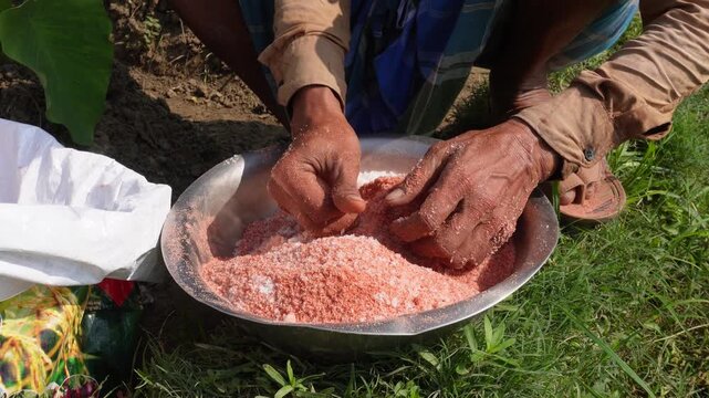 Farmer Handling Reddish Pink Granular Fertilizer in Metal Bowl Outdoors