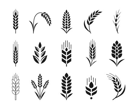Wheat ears and bakery bread logo symbols vector set.