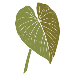 Philodendron leaf. Exotic botanical element with a delicate texture. Tropical leaf in retro flat style. © Hanna ArtLab