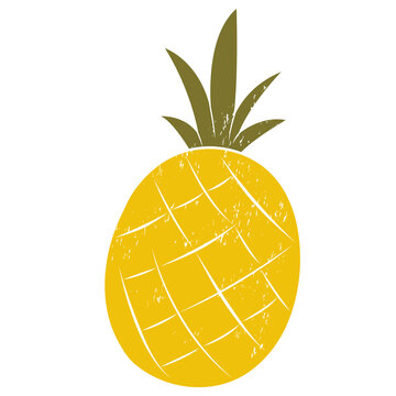 Pineapple. Yellow pinaple illustration. Exotic tropical fruit with a delicate texture in a retro style.