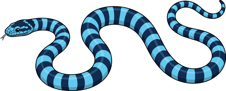 Blue Banded Sea Krait Snake Vector Illustration for Wildlife Education, Zoo Signage, and Exotic Reptile Species Identification
