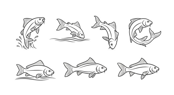 Carp Fish Sketch Set, Jumping and Swimming Hand-Drawn Collection