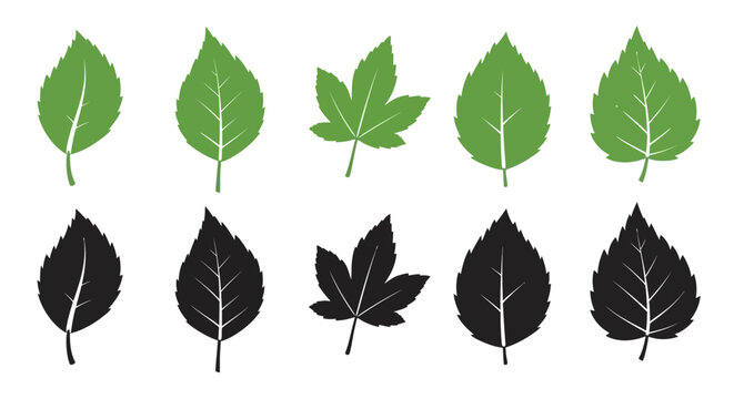 Collection of green and black leaf illustrations on white background