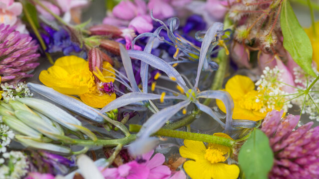fresh handpicked spring wildflowers from the field