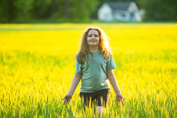 Naklejka premium Child walks through sunny field. Happy child enjoys countryside freedom. Child lifestyle feels healthy outdoors. Child activity supports peaceful childhood.
