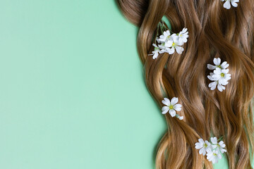 Curly Blonde Brown Hair with White Flowers and Green Ombre Background © Anna