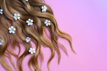 Curly Blonde Brown Hair with White Flowers on Ombre Background © Anna