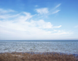 Naklejka premium Ocean, seascape and nature with horizon for coastline, sustainable environment and space. Beach, natural reeds and wilderness with blue sky, land conservation and water scenery of reservation