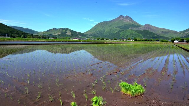由布岳_「豊後富士」とも称される美しい双耳峰（東峰・西峰）を持つ、湯布院のシンボル的な山