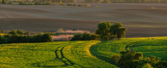 Naklejka premium The intensely green spring fields of the Brandenburg region, Germany-Panorama