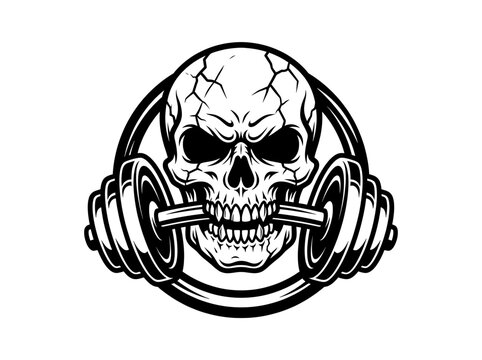Skull biting a dumbbell vector illustration for gym or fitness logo design