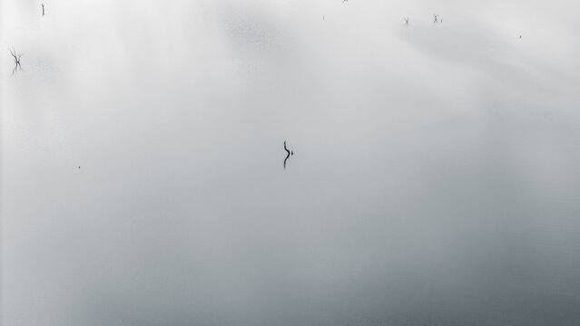 Aerial view of Lake Jindabyne with sparse dead tree branches emerging from the misty water surface under a foggy sky in Snowy Monaro Regional Council, New South Wales, Australia.