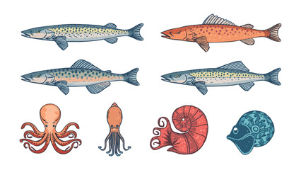 Marine Life Illustration: A colorful illustration showcasing a variety of aquatic creatures, including different species of fish, an octopus, a squid, and fossilized shells, presented in a clean. © mahmuda428