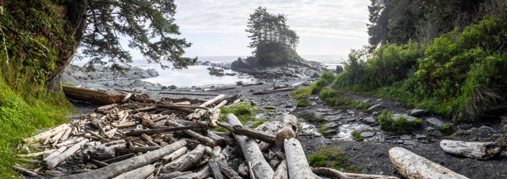 Driftwood-Strewn Rocky Beach and Tree-Capped Islet on a Misty Co