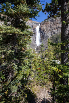 Tall Mountain Waterfall Framed by Pine Trees Over Rocky Cliff an