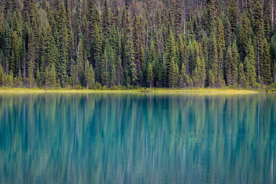 Calm Alpine Lake Reflecting Dense Evergreen Forest Along the Sho