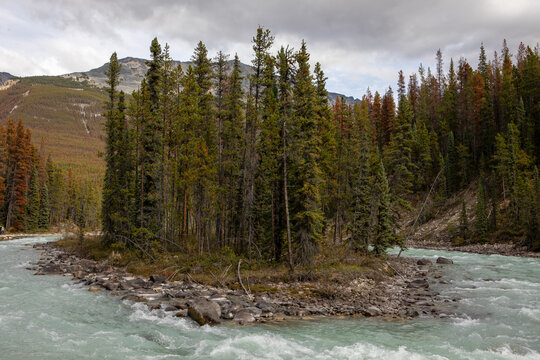 Mountain River Splitting Around Forested Island Under Cloudy Aut